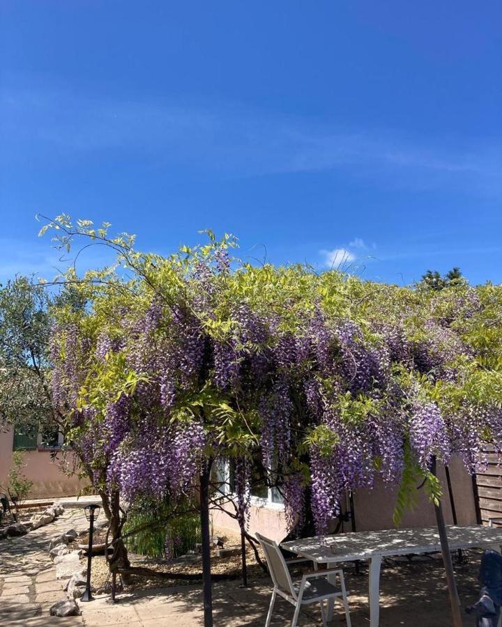 Le Clos Des Olivettes Sainte-Croix-de-Quintillargues Ngoại thất bức ảnh