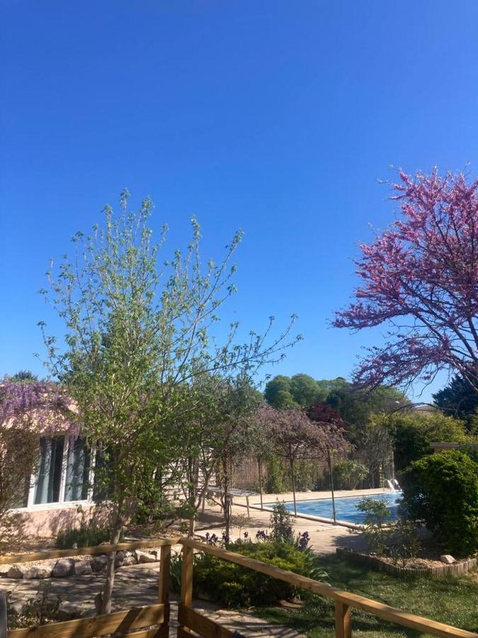 Le Clos Des Olivettes Sainte-Croix-de-Quintillargues Ngoại thất bức ảnh
